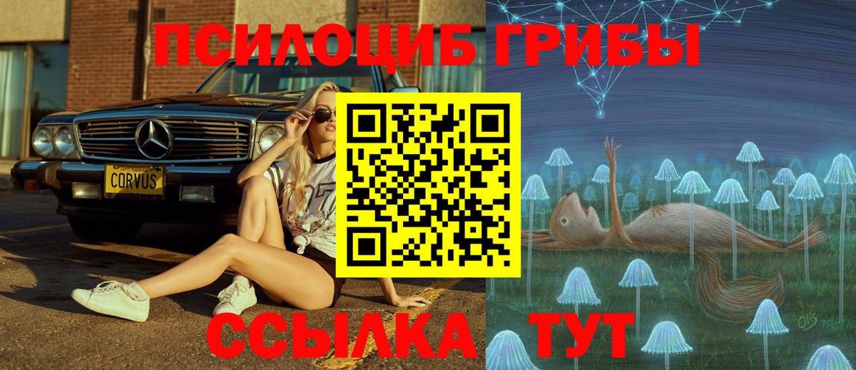 Глазов  Галлюциногенные грибы Psilocybine cubensis  Вход с VPN  Галлюциногенные грибы MAGIC MUSHROOMS 